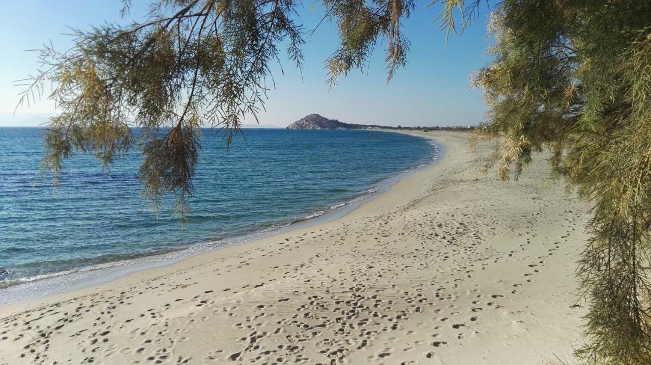 شقة Naxos Is The Way Kastrákion المظهر الخارجي الصورة